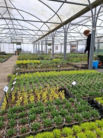 Weekly catch up with gardens & propagation Weekly catch up with gardens & propagation