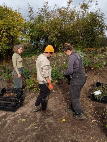 Weekly catch up with garden & propagation Weekly catch up with garden & propagation