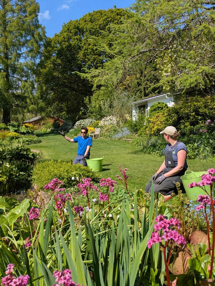 Weekly catch up with garden & propagation