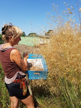 Weekly catch up with garden and propagation