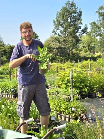 Weekly catch up with garden & propagation Weekly catch up with garden & propagation
