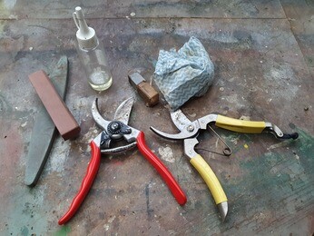 Our Propagation Expert Emily's Favourite Tools