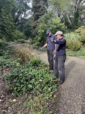 Weekly catch up with garden and propagation