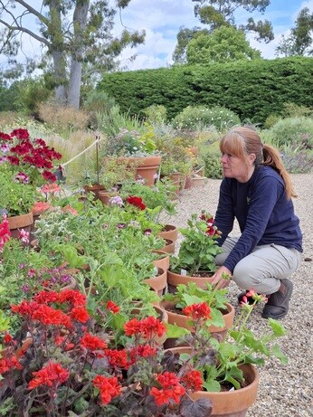 Weekly catch up with garden and propagation