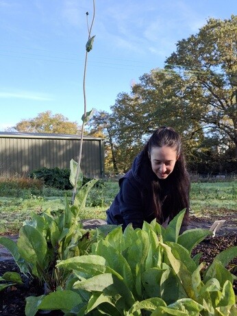 Weekly catch up with garden & propagation Weekly catch up with garden & propagation