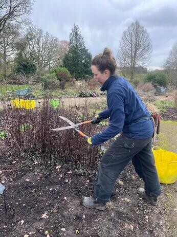 A look back at 2025 with the garden team A look back at 2025 with the garden team