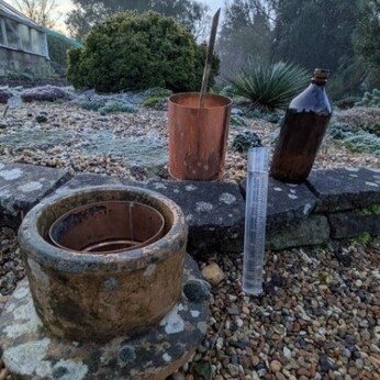 Wild Words from the Ground - December/January