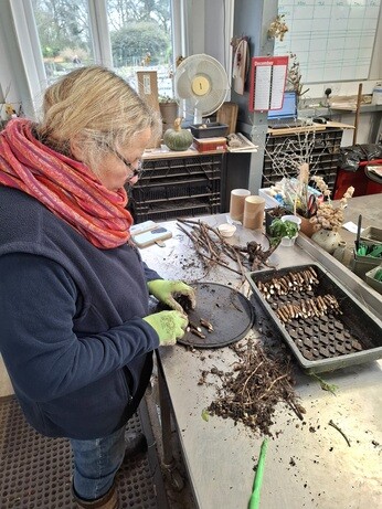 January news from the garden and propagation