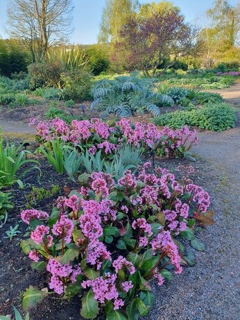 Weekly catch up with gardens & propagation