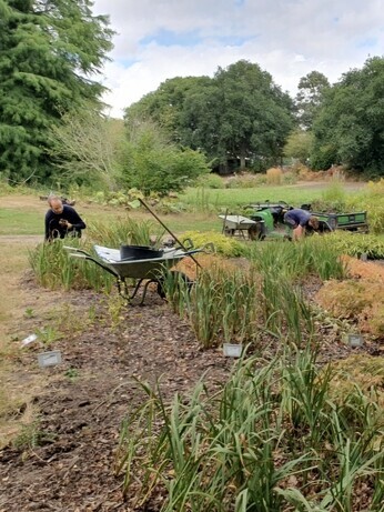 Weekly catch up with garden and propagation Weekly catch up with garden and propagation