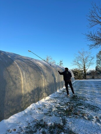 Weekly catch up with garden & propagation