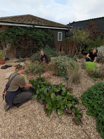 Weekly catch up with garden and propagation Weekly catch up with garden and propagation