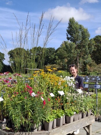 Weekly catch up with garden and propagation Weekly catch up with garden and propagation