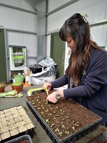 Weekly catch up with gardens & propagation