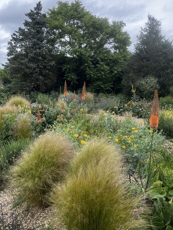 Weekly catch up with garden & propagation