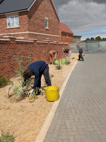 A look back at 2025 with the garden team A look back at 2025 with the garden team