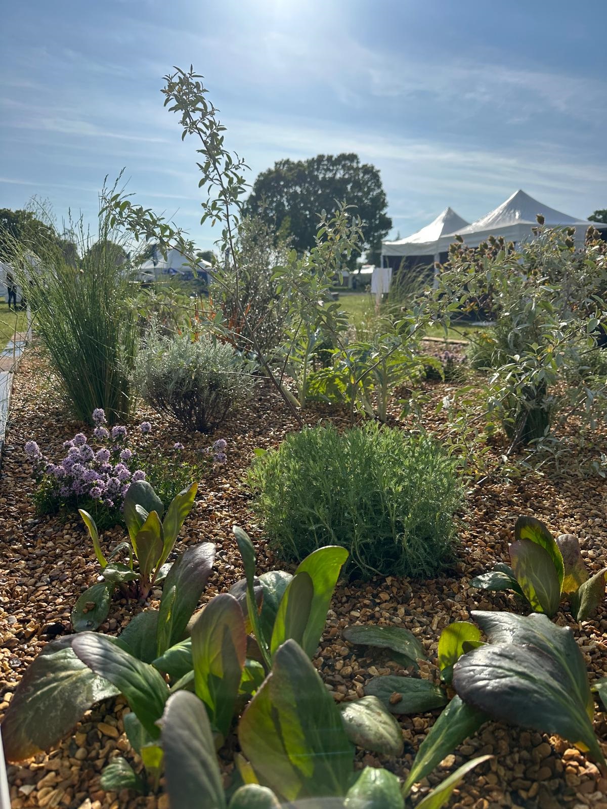Weekly catch up with garden & propagation