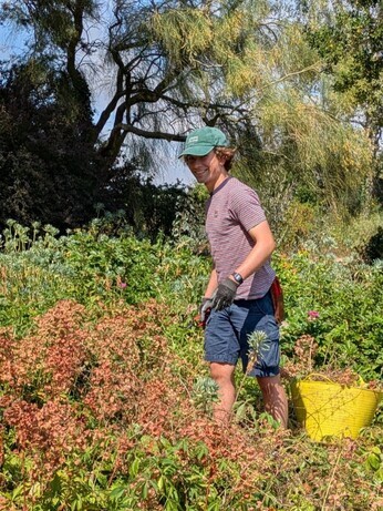 Weekly catch up with garden and propagation Weekly catch up with garden and propagation