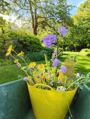 My Year as a Trainee at Beth Chatto Plants & Gardens