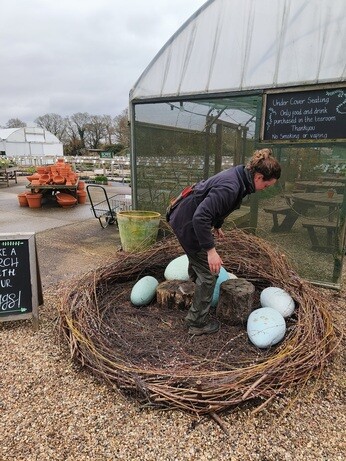 Weekly catch up with garden & propagation