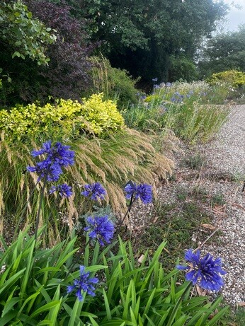 Weekly catch up with garden & propagation