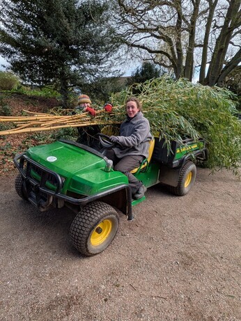 Weekly catch up with garden & propagation