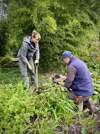 Weekly catch up with garden & propagation
