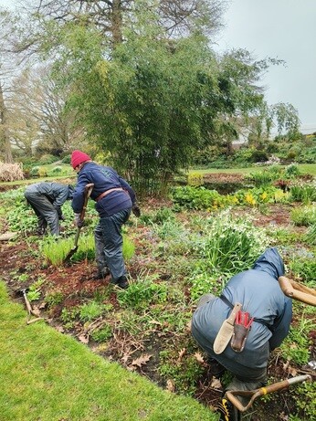 Weekly catch up with garden & propagation