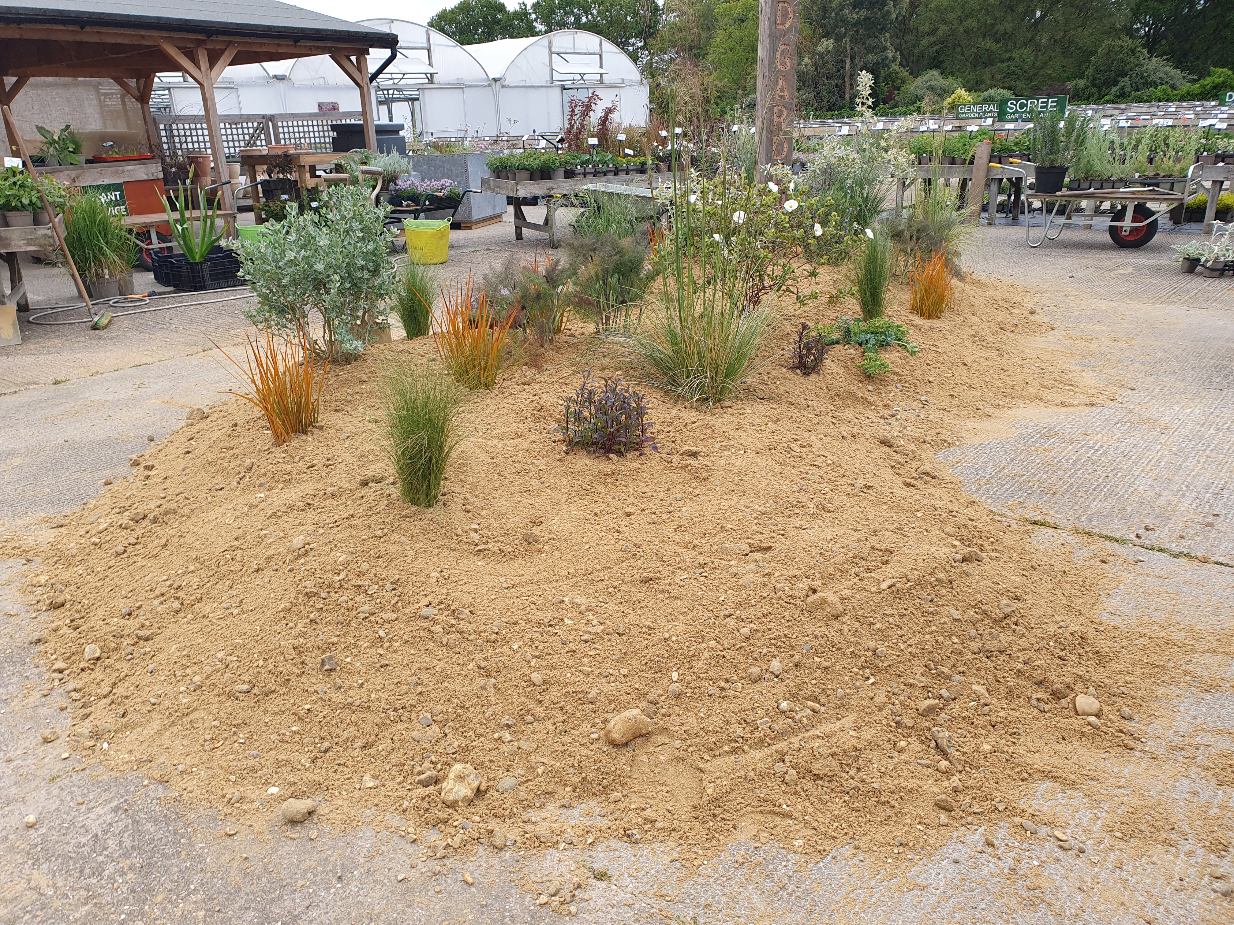 Chelsea inspired sand garden Chelsea inspired sand garden