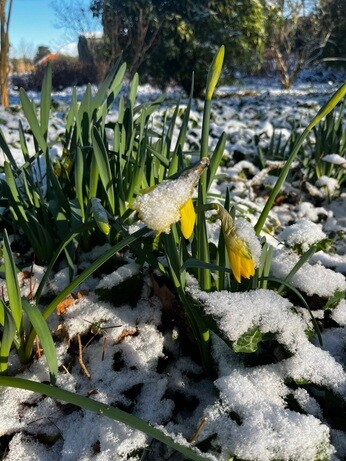 Weekly catch up with garden & propagation