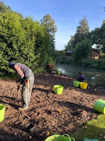 Weekly catch up with garden and propagation