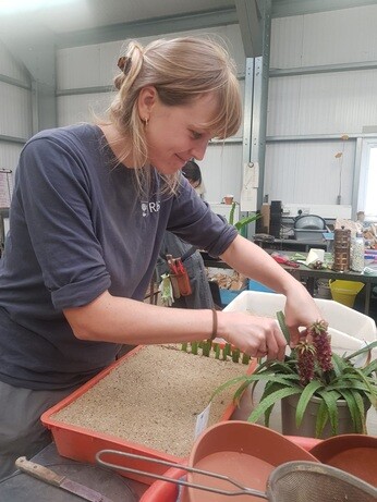 Weekly catch up with garden & propagation