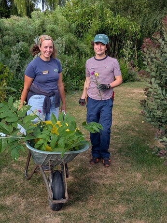 Weekly catch up with garden and propagation Weekly catch up with garden and propagation