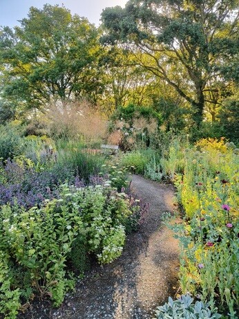 Weekly catch up with garden and propagation