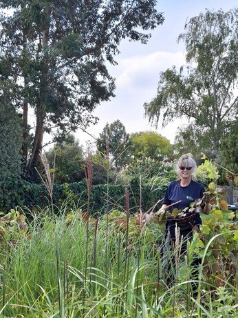 Weekly catch up with garden & propagation