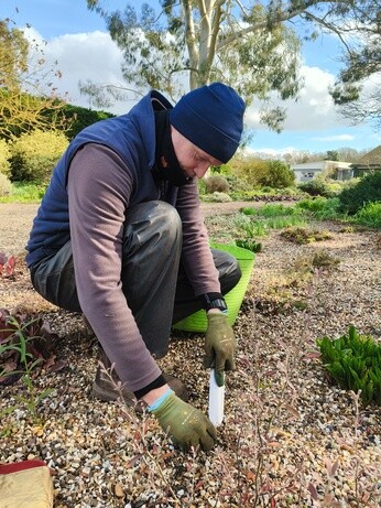 Weekly catch up with garden & propagation Weekly catch up with garden & propagation