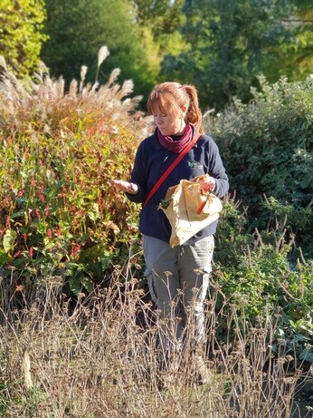 Our Propagation Expert Emily's Favourite Tools