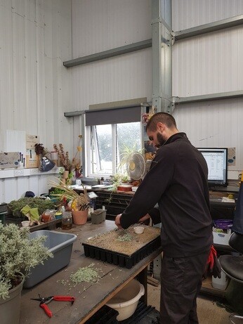 Weekly catch up with garden and propagation