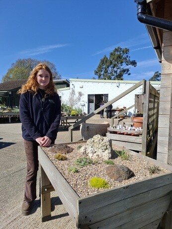 Weekly catch up with gardens & propagation