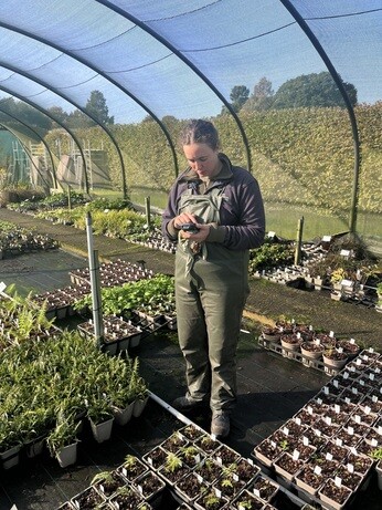 Weekly catch up with garden and propagation Weekly catch up with garden and propagation