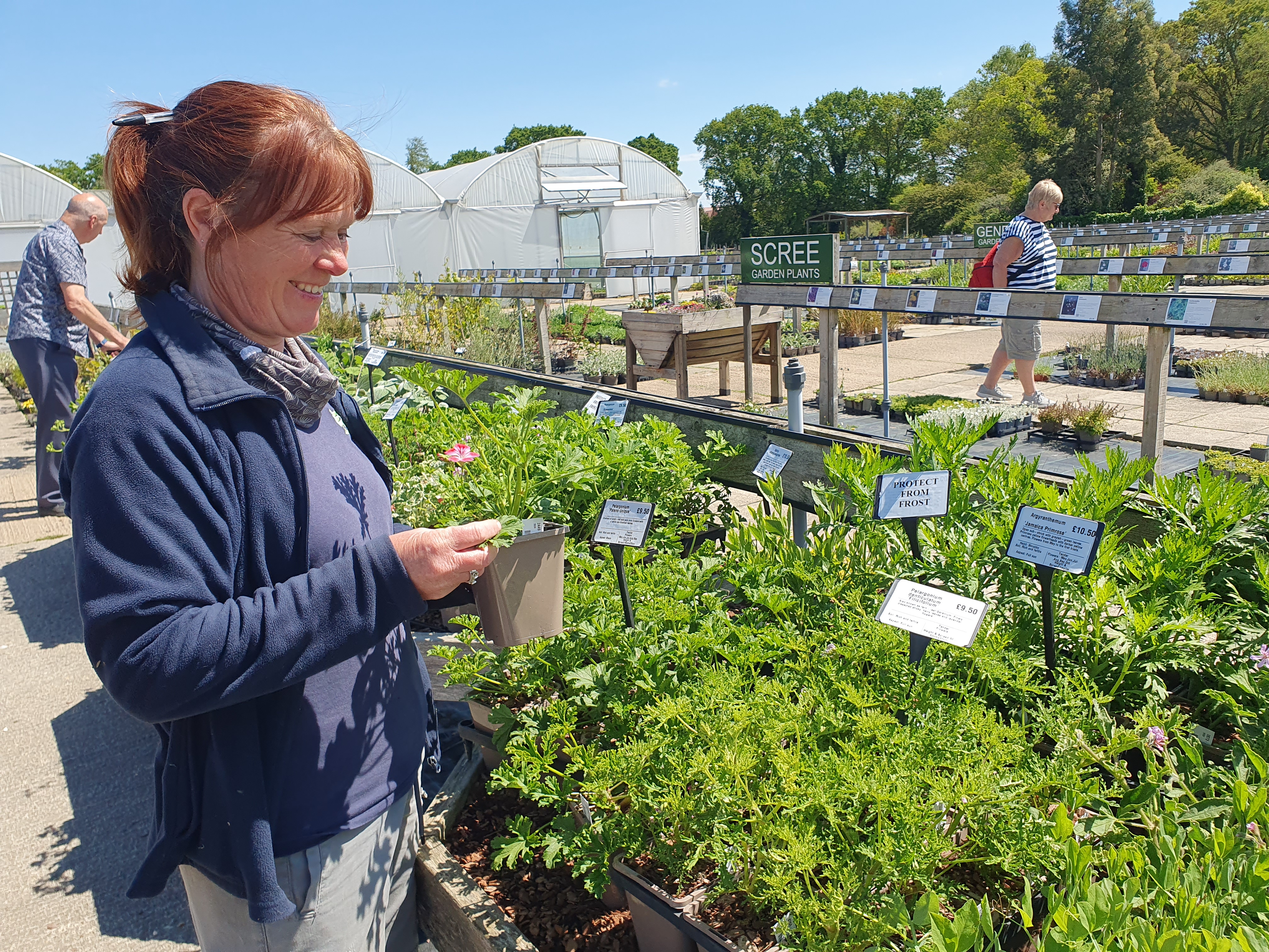 Perennials and tender plants for gorgeous seasonal container displays