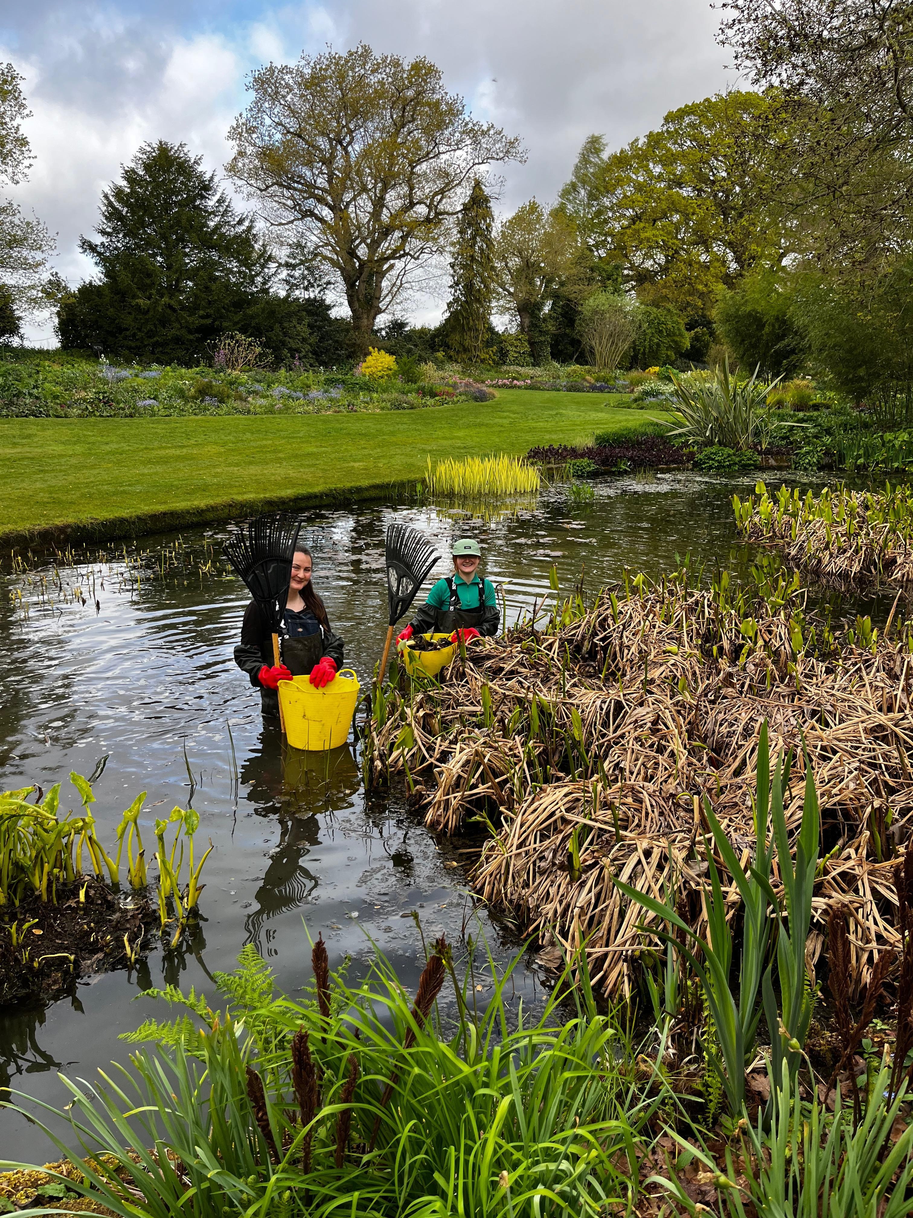 Weekly catch up with garden & propagation