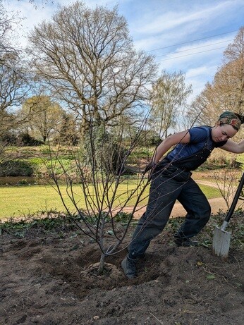 Weekly catch up with gardens & propagation