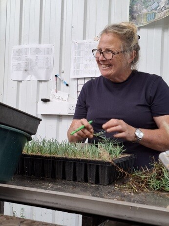 Weekly catch up with garden & propagation