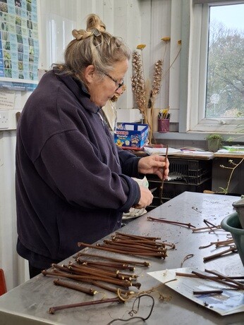 Weekly catch up with garden & propagation Weekly catch up with garden & propagation