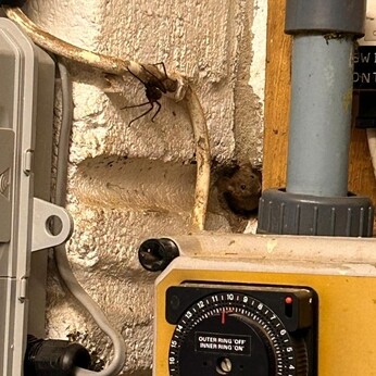 Wild Words from the Ground - November