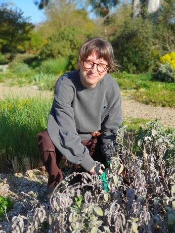 Weekly catch up with gardens & propagation