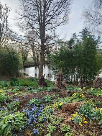 Weekly catch up with garden & propagation Weekly catch up with garden & propagation