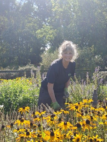 Weekly catch up with garden and propagation