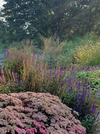 Top 10 plants for autumn interest